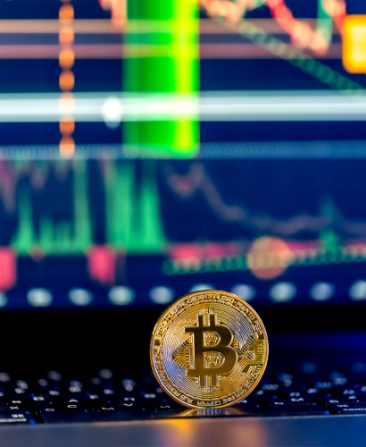 LomarvixPro Trading Informationen